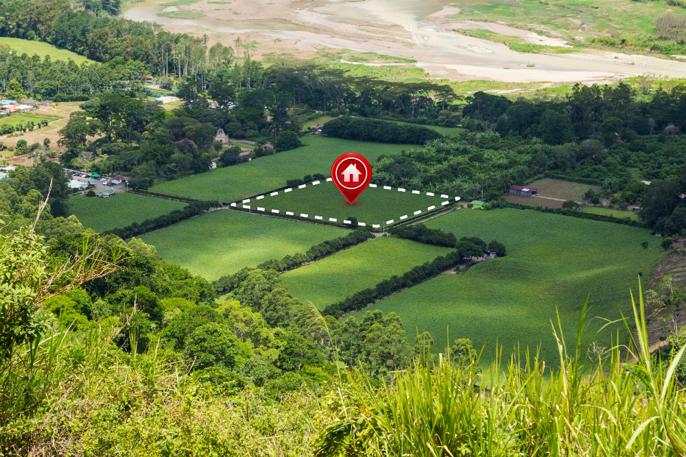 Scenic Agricultural Land in Lucknow